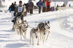Lenk 2012 SM